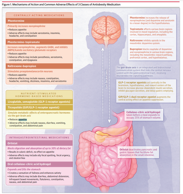 JAMA_current's tweet photo. Obesity is associated with multiple comorbidities. This review examines the safety and efficacy of antiobesity medications in conjunction with lifestyle modification according to their mechanism of action. https://t.co/WTC8TA9PMQ https://t.co/xPYwYE7clS