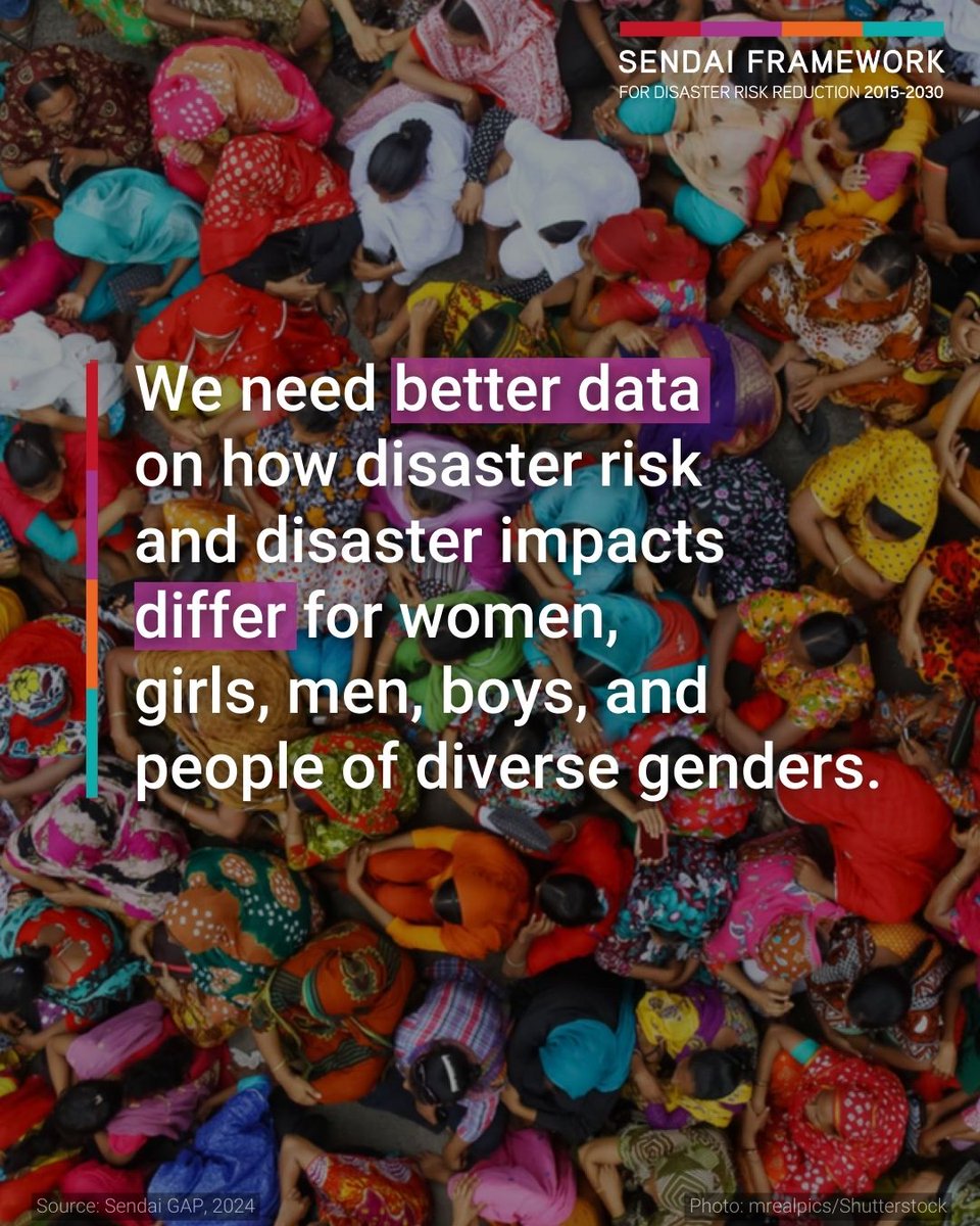 UNDRR's tweet photo. Disaster risk management should be based on an understanding of disaster risk in all its dimensions. This means we must increase the availability of gender and disaggregated data.

Learn more about the #SendaiGAP ➡️ https://t.co/i4L8NVORdi https://t.co/XxsYkBl51F