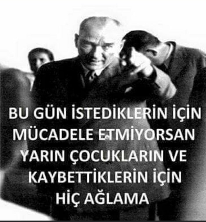 Börte Demirel tweet media