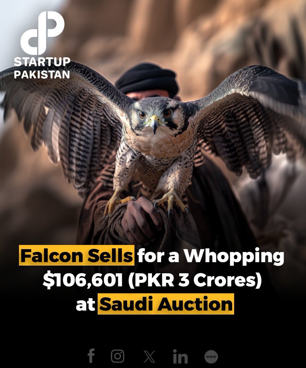 PakStartup's tweet photo. On the 10th night of the auction, Yas Falcons sold four birds for $66,400. Highlights include a gyr taba chick at $10,666 and another at $14,133.
#Falconry #YasFalcons #AuctionSuccess #SaudiFalconClub #BirdsOfPrey https://t.co/WGGD8VlXHM