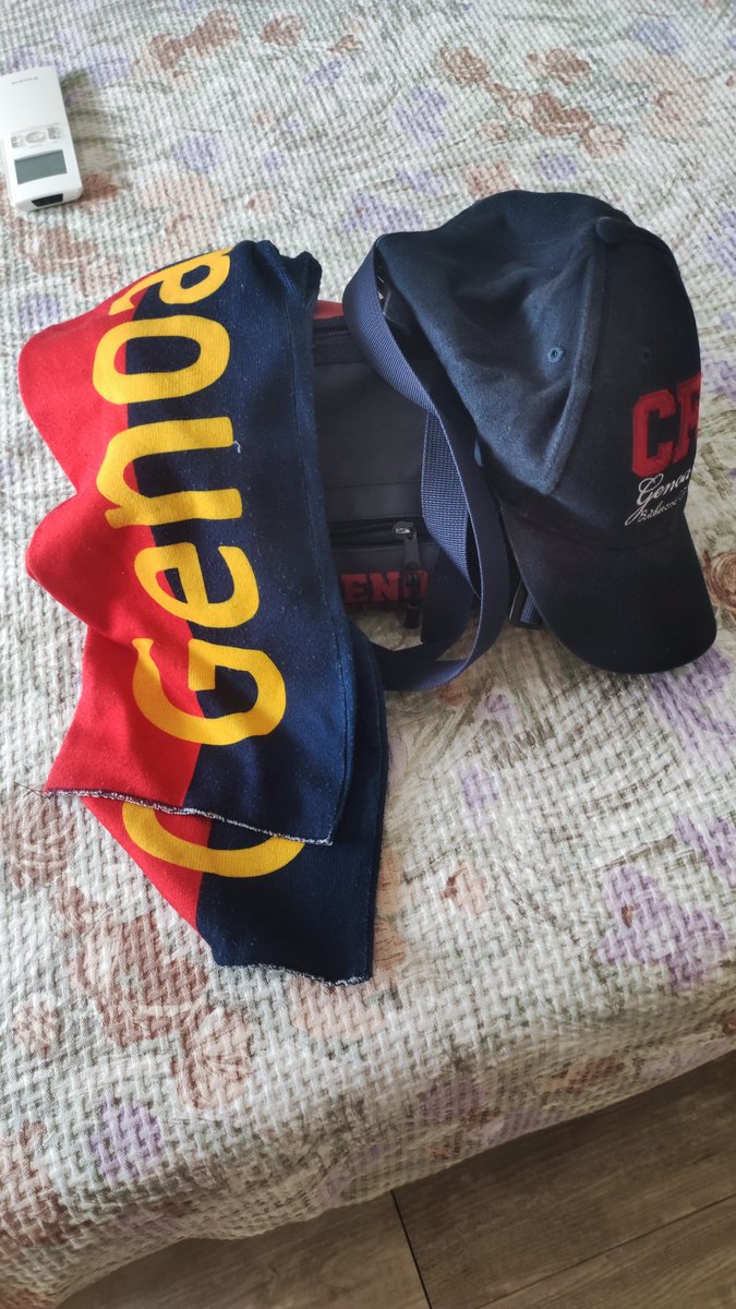 cclaudia65's tweet photo. Prendo la sciarpa e vengo da te ❤️💙 #MonzaGenoa @simo_valenti @GenoaCFC https://t.co/mL6SN0fsLI
