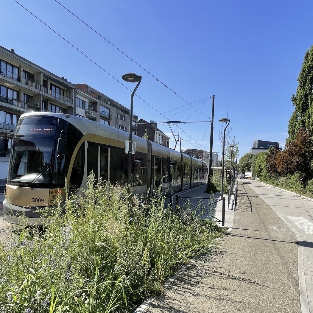 elkevdbrandt's tweet photo. Met partners hard gewerkt om #Jette groener, mooier, verkeersveiliger te maken. De Léon Theodorstraat krijgt bredere voetpaden, de de Smet de Naeyerlaan afgescheiden fietspaden. Bij het kerkhof tramlijnen 9 en 19 heringericht, met nieuw stuk park! #fier #Brusselverandert https://t.co/MrdQ2wb2UP
