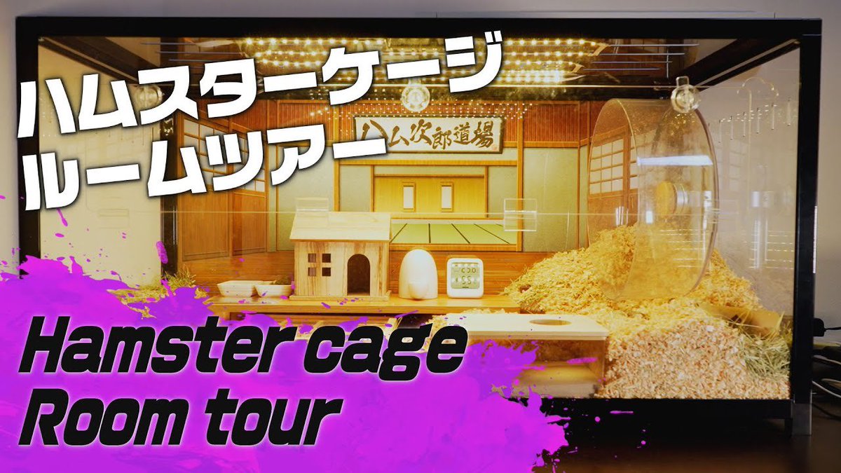 tsucci2200tv's tweet photo. 2200年TVのサブチャンネル
『てってけ！ハム次郎道場』の新作を公開！

今回の動画は
「ハムスターのお部屋をルームツアーで徹底紹介！」

動画はこちら➡️ https://t.co/VHPCnq3Gnn

100cmの巨大ケージの中で暮らすハム次郎のお部屋を紹介します🐹
チャンネル登録もよろしくお願いします！

#ハムスター #ゴールデンハムスター
#ハムスター好きと繋がりたい
#ハムスターのいる生活
#hamster #2200年TV