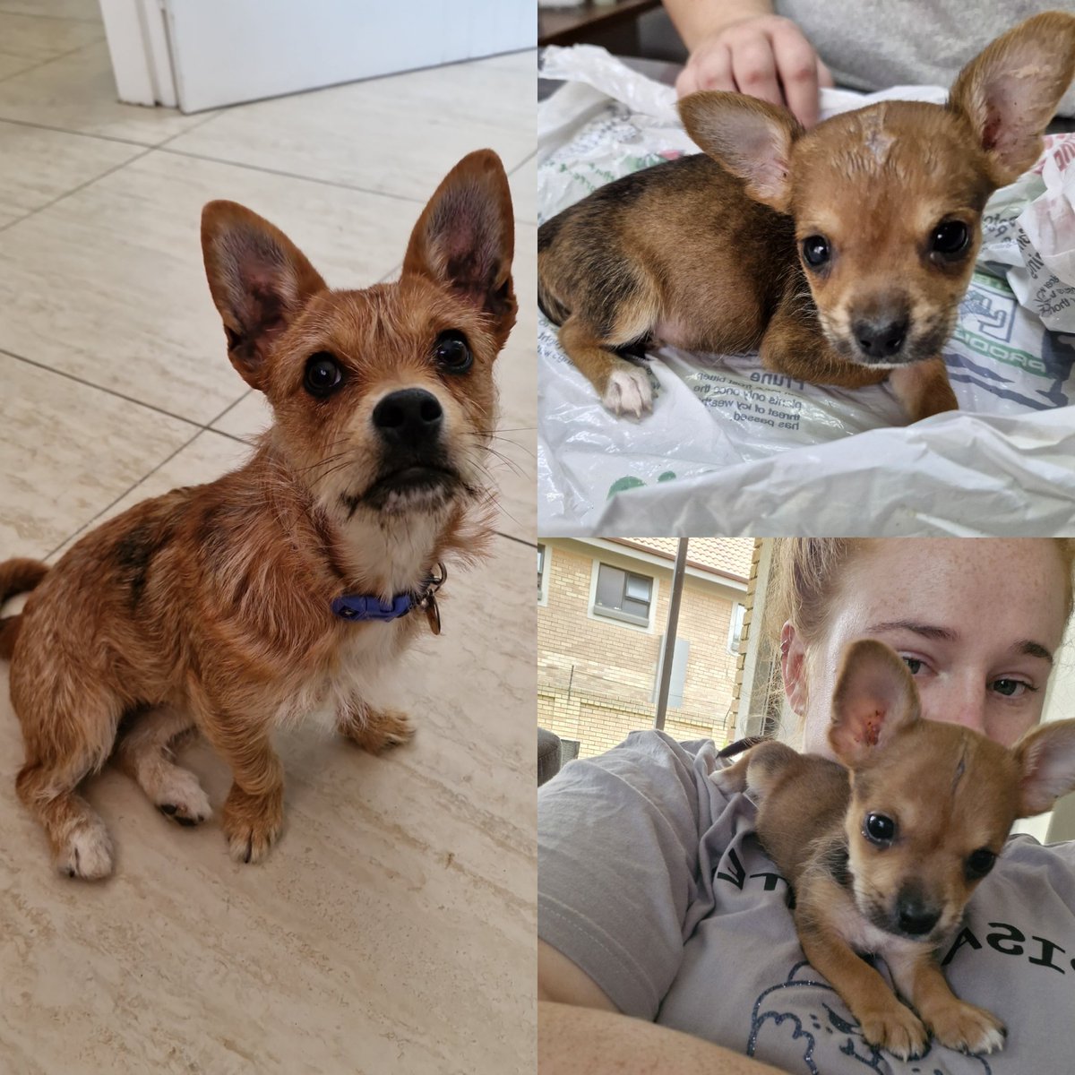 5 weeks vs 8 months, v cutesey 💓