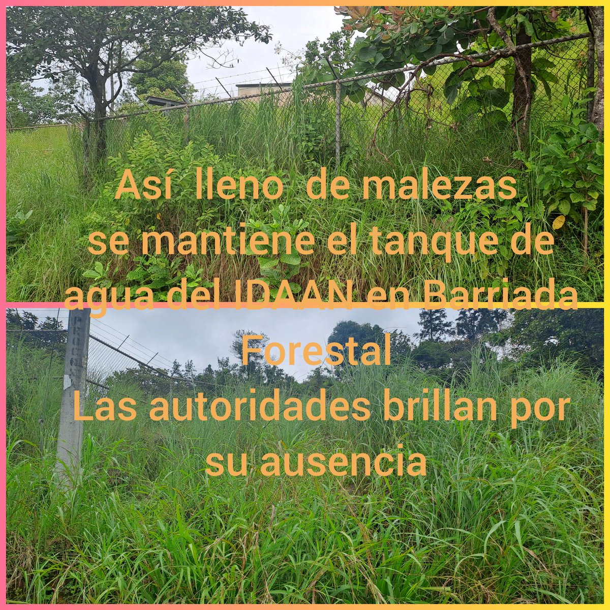 <a href="/IDAANinforma/">IDAAN</a> Es en Barriada Forestal #Santiago #Veraguas <a href="/OndasCentrales/">Ondas Centrales</a> <a href="/TReporta/">Telemetro Reporta</a> <a href="/JoseRaulMulino/">José Raúl Mulino</a>   inescrupulosos aprovechan
