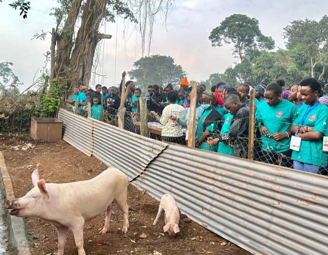 NAGRC_DB's tweet photo. Today, @NAGRC_DB participates in the 10th Annual @gayazahigh #FarmCamp.
Over 600 campers have been trained in dairy cattle mgt,piggery, poultry, biogas enterprises, breeding, animal health & nutrition.
The camp was opened by Brig.Gen. @GKulayigye
@FrankTumwebazek
@DrRwamiramaBK https://t.co/H3PKywtadM