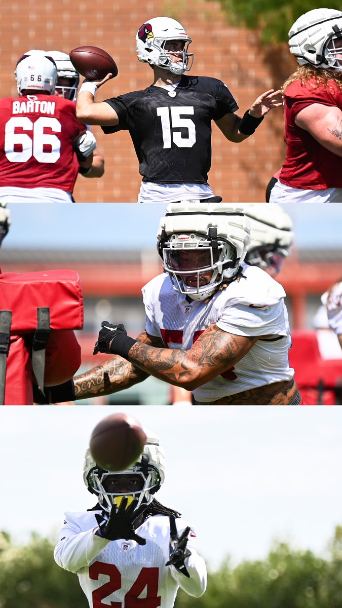 Arizona Cardinals tweet media