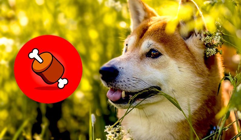 <a href="/RagnarShiba/">RagnarShib.eth</a> <a href="/binance/">Binance</a> LETS GOOOO $BONE #SHIBARIUM Gas fees.