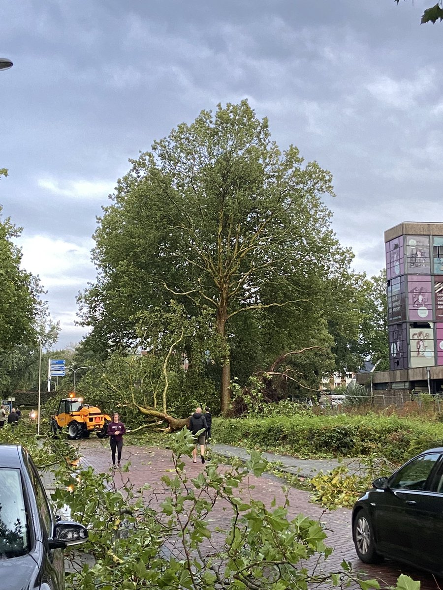 Rutger Oosting tweet media