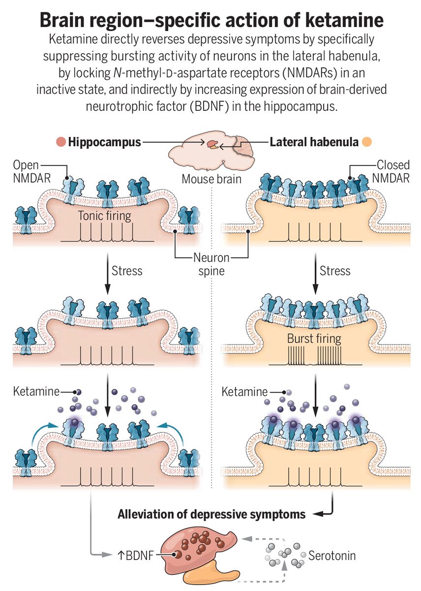 Science Magazine tweet media