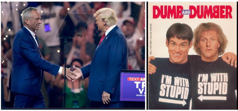 Sometimes reality is better than fiction. 🥴