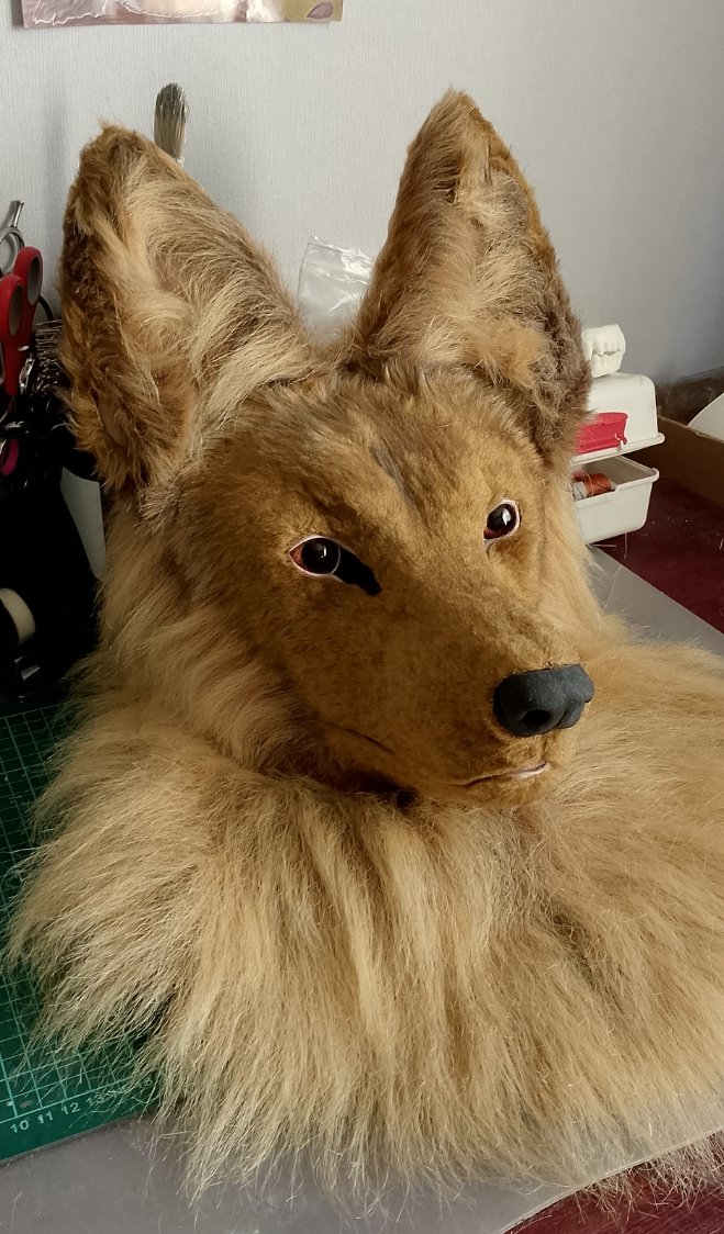 <a href="/AronGShepherd/">AronGShepherd</a> head wip

#fursuit #fursuiter #wipfursuit