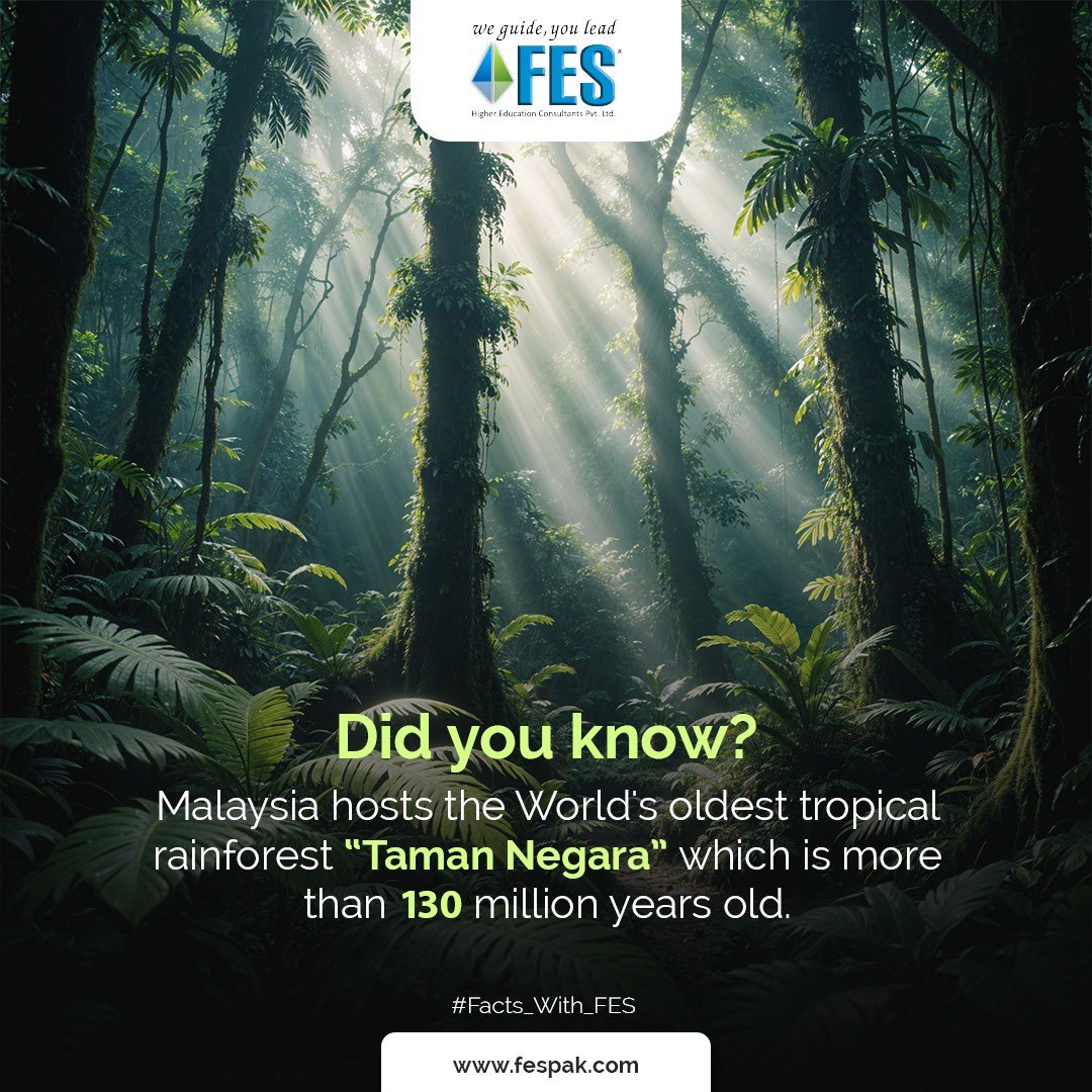 FESConsultants's tweet photo. Did You Know?💡
.
.
.
#fes #fes2024 #fesconsultants #studyabroad #DidYouKnow #Malaysia #Rainforest #TamanNegara #Education #fypシ゚ #trending #knowledge #Learning #didyouknowfacts #viralpost2024 #dailyfacts #facts #factsoflife #Facts_With_FES
https://t.co/CSlKhqVNS6 https://t.co/F3OpAneXQk