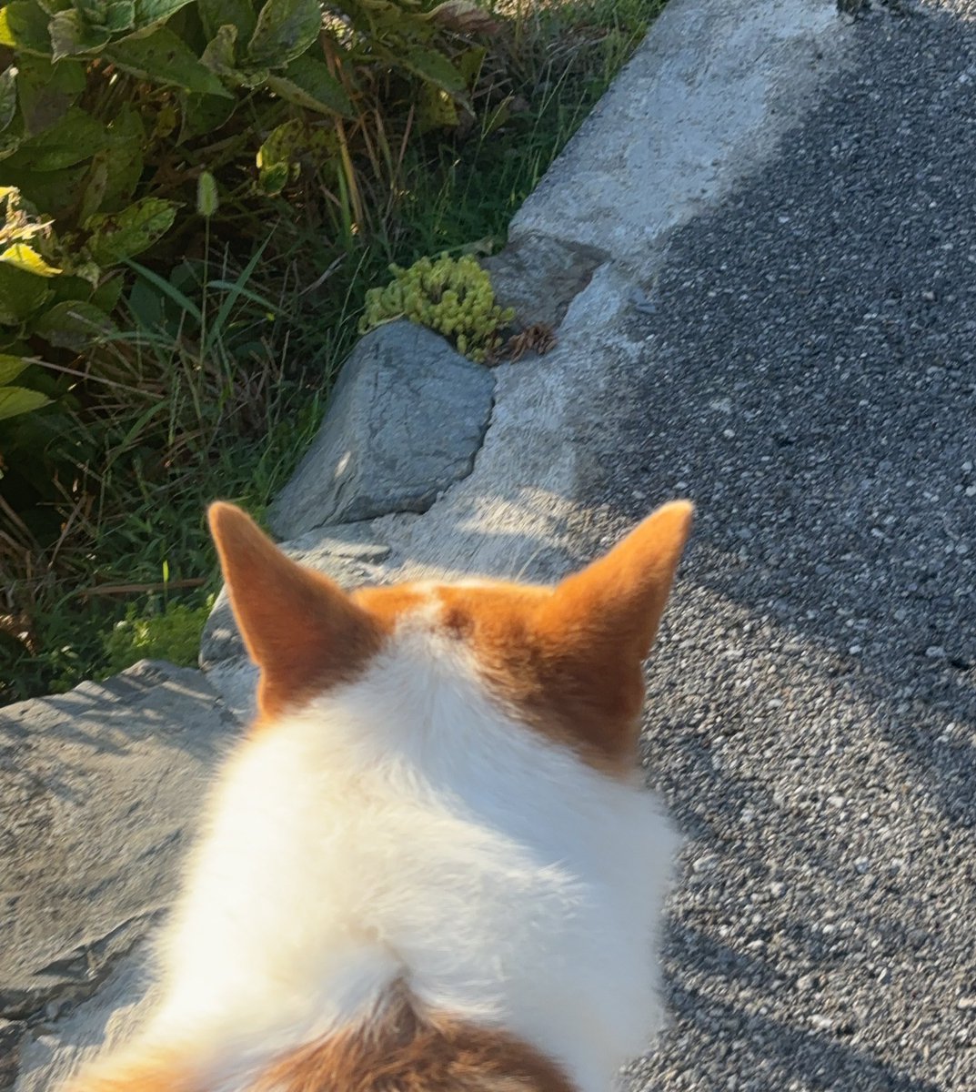 inullnuit (@inullnuit) on Twitter photo 