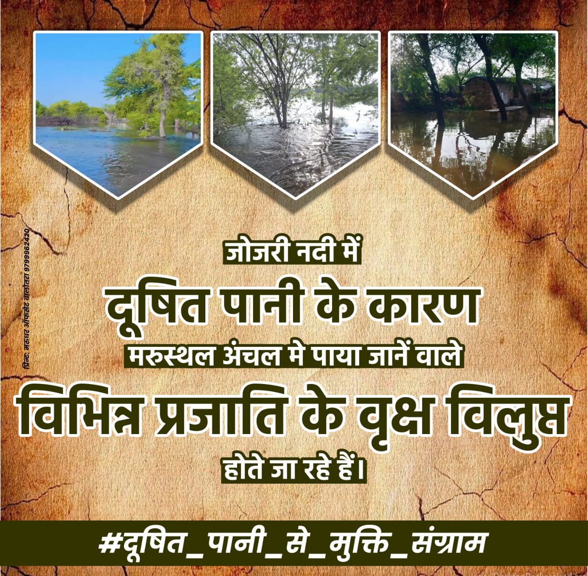 जोजरी नदी में दूषित पानी के कारण यहां की बायो डायवर्सिटी को बरबाद करने के साथ ही यह जहरीला पानी रिश्तों पर भी पानी फेर रहा है। इस रसायनिक पानी के कारण यहां इतने मच्छर-मक्खियां हो गए हैं कि बहन-बेटियां अपने पीहर आने से भी कतराती हैं। #दूषित_पानी_से_मुक्ति_संग्राम