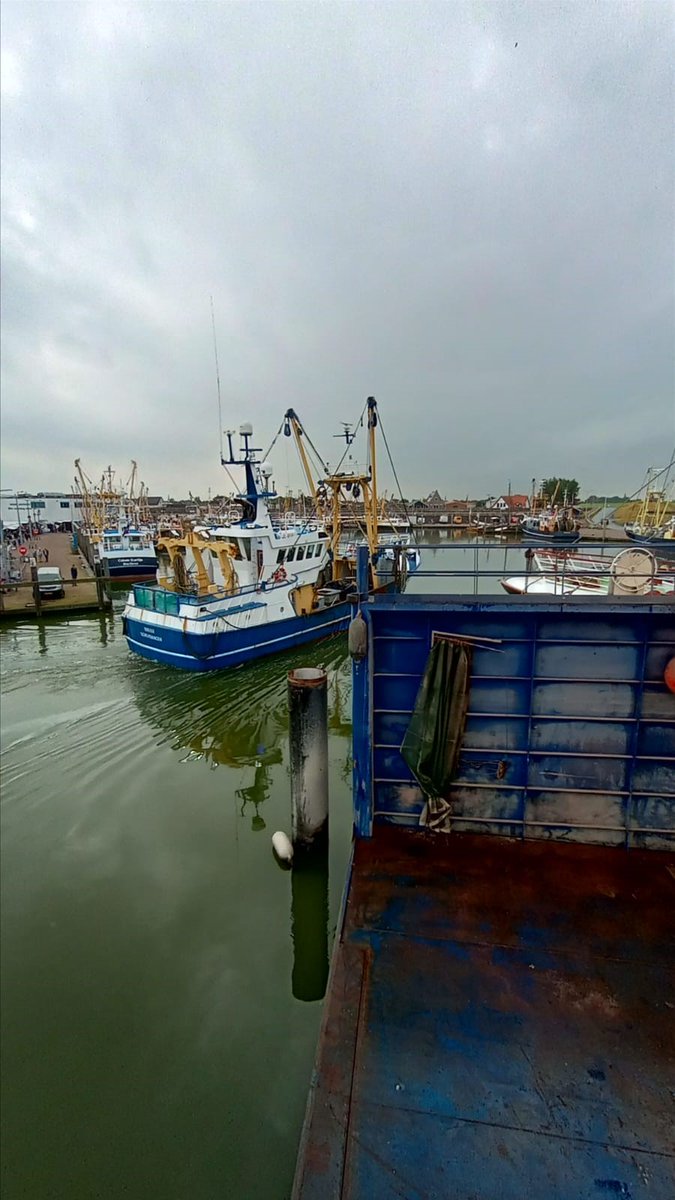 LuytGroep's tweet photo. Welkom in #DenOever!
SCH-18 vaart feestelijk binnen, omringd door een zee van vlaggen🚩 & festiviteiten🎏 wordt de viskotter begroet door de #Wieringer #vloot en meert ze aan bij onze werkkade waar we de #Eurokotter zullen #ombouwen naar #scalloper voor Moore Seafoods #Wexford☘️ https://t.co/Nu1h47oeVX