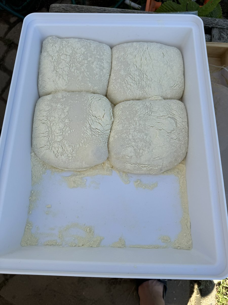 Raiko Mesterheide tweet media