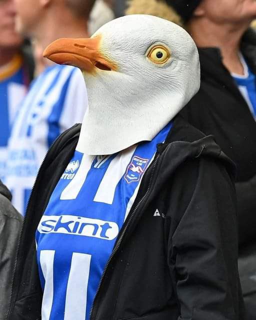 Marc Carter-Selwood (@marcselwood) on Twitter photo 