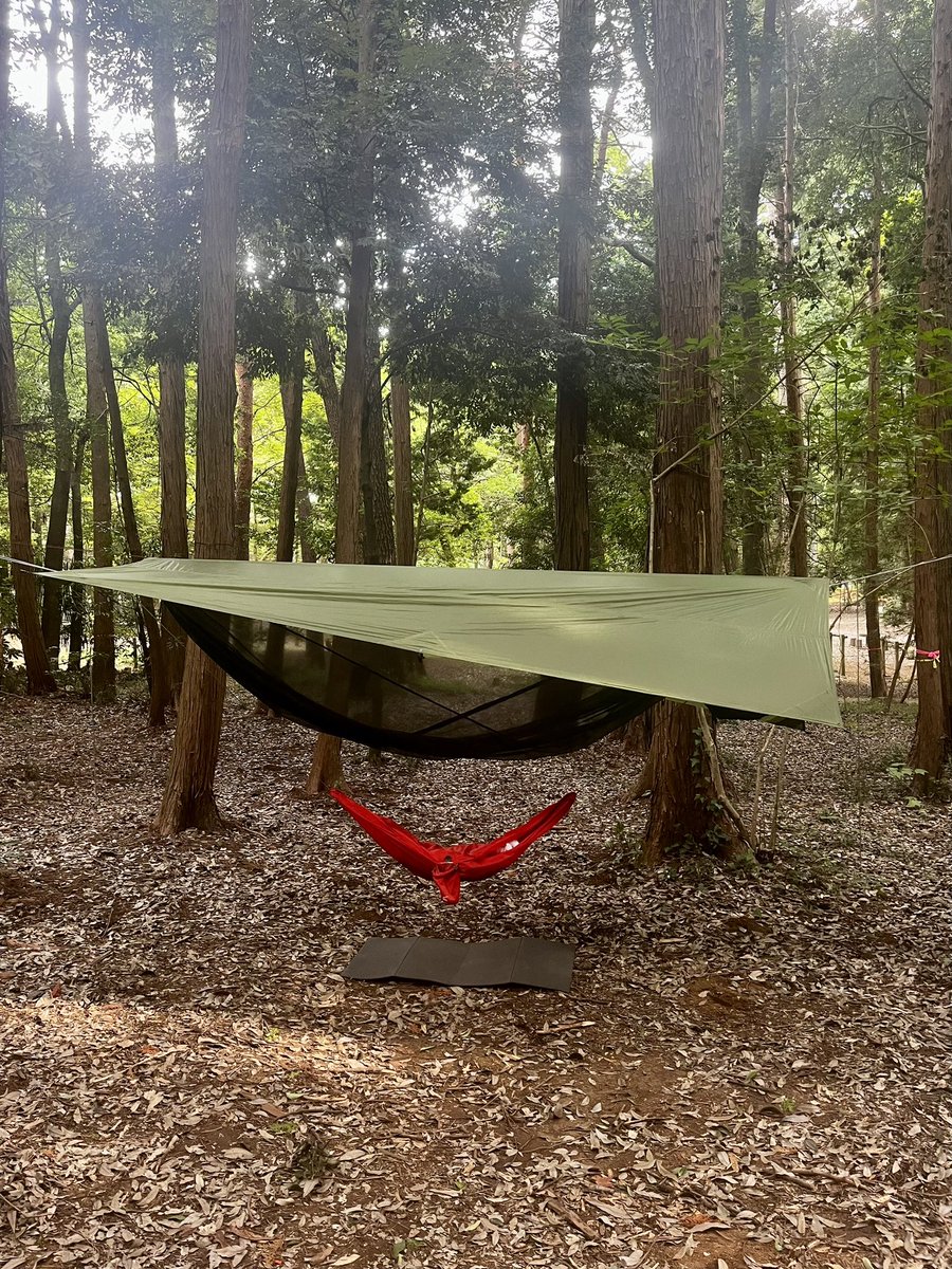 zenhike's tweet photo. 今日はARTEMIS hammockで寝てみる
#ハンモック #hammock #ARTEMIShammock #bluetraversegear @bluetraverse_g https://t.co/fBbtnrCbsp
