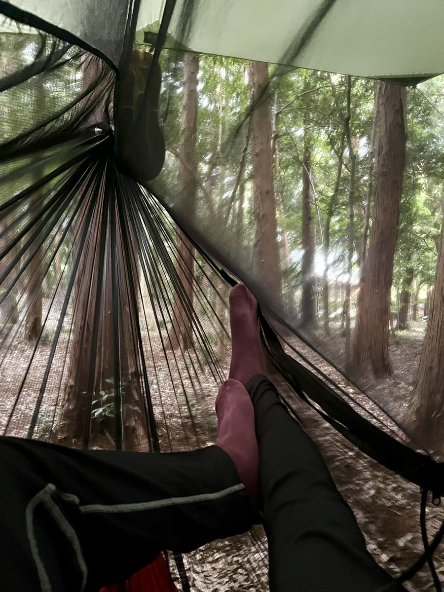 zenhike's tweet photo. 今日はARTEMIS hammockで寝てみる
#ハンモック #hammock #ARTEMIShammock #bluetraversegear @bluetraverse_g https://t.co/fBbtnrCbsp