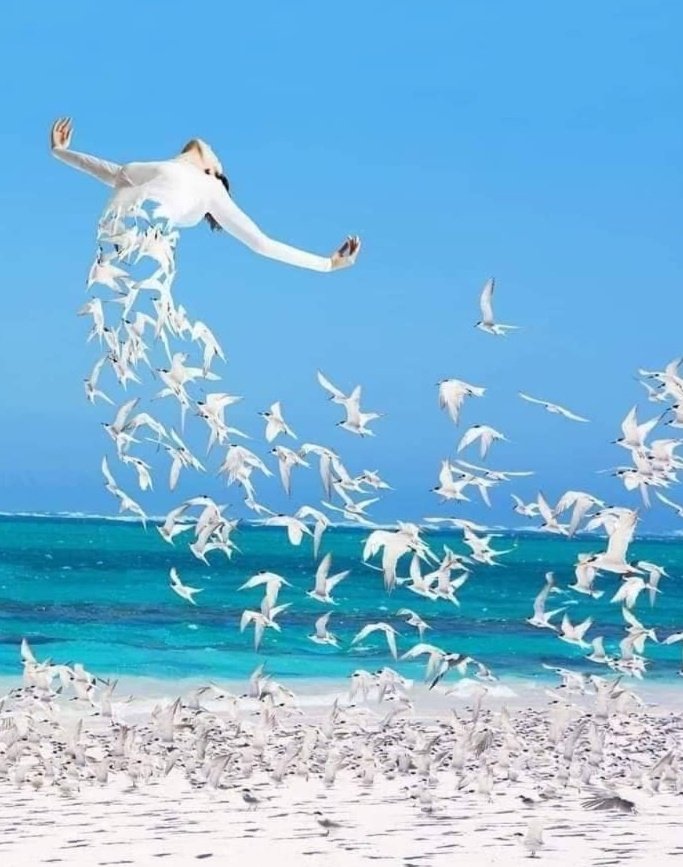 🩵🤍🕊️🕊️

"Maybe people wanted to be  understood  more than  to be loved."

                                     - George Orwell -
Wonderful Landscape 
🕊️🤍