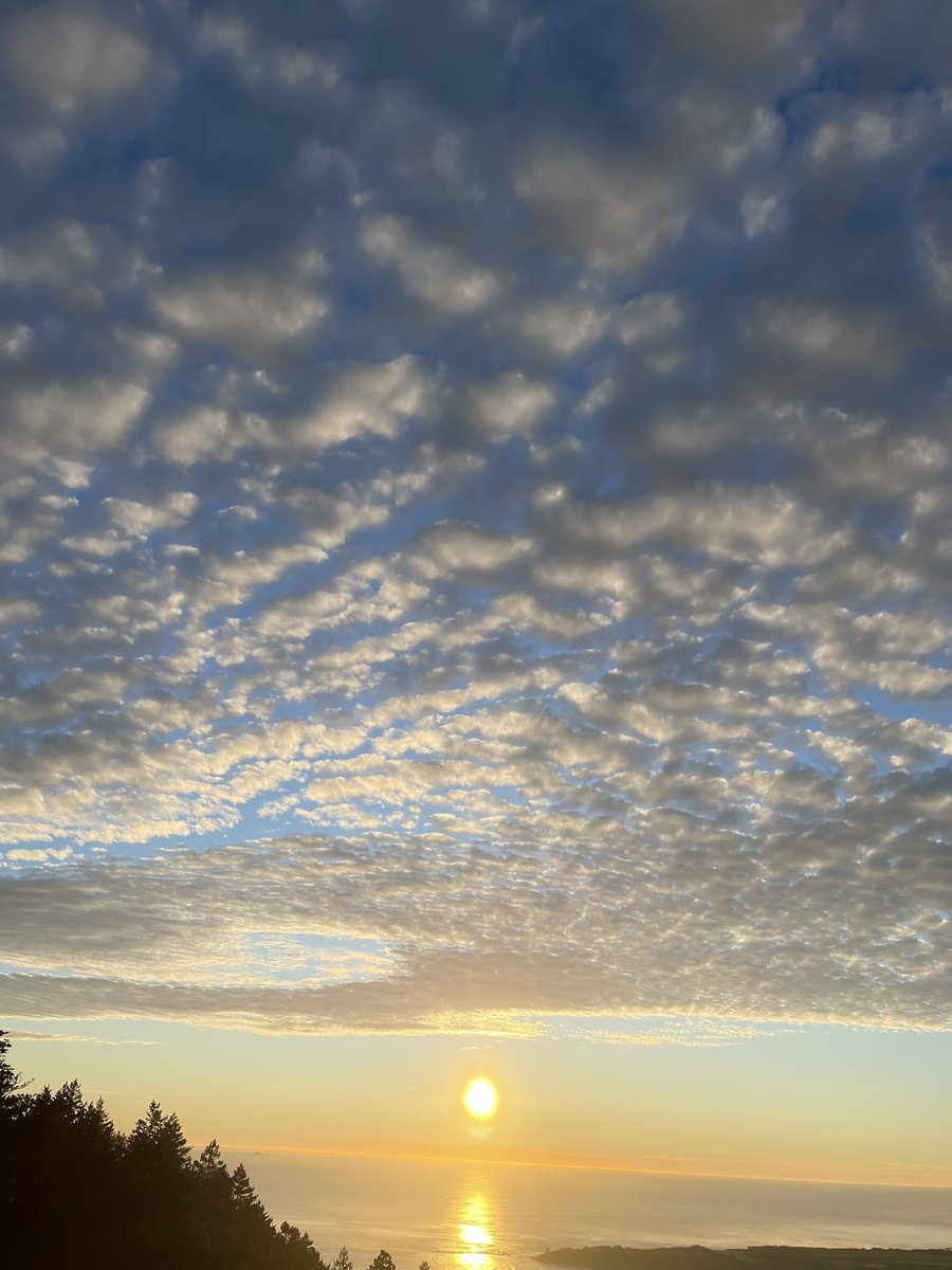 gm ☀️ Change your attitude to change your future! Don’t underestimate the power of a positive and open mindset 🫶