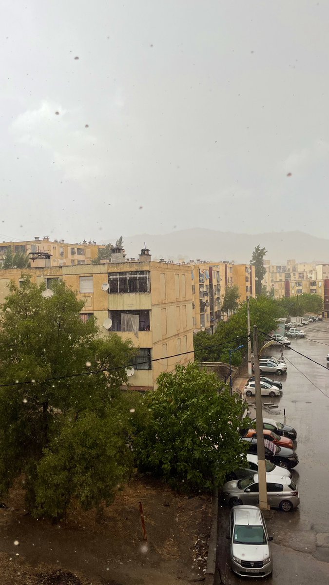 نَجمٰ⭐️🇩🇿 tweet media