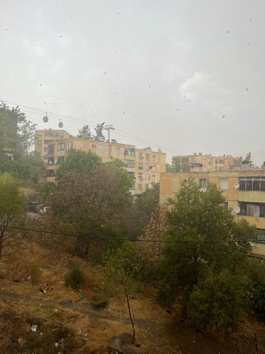 نَجمٰ⭐️🇩🇿 tweet media