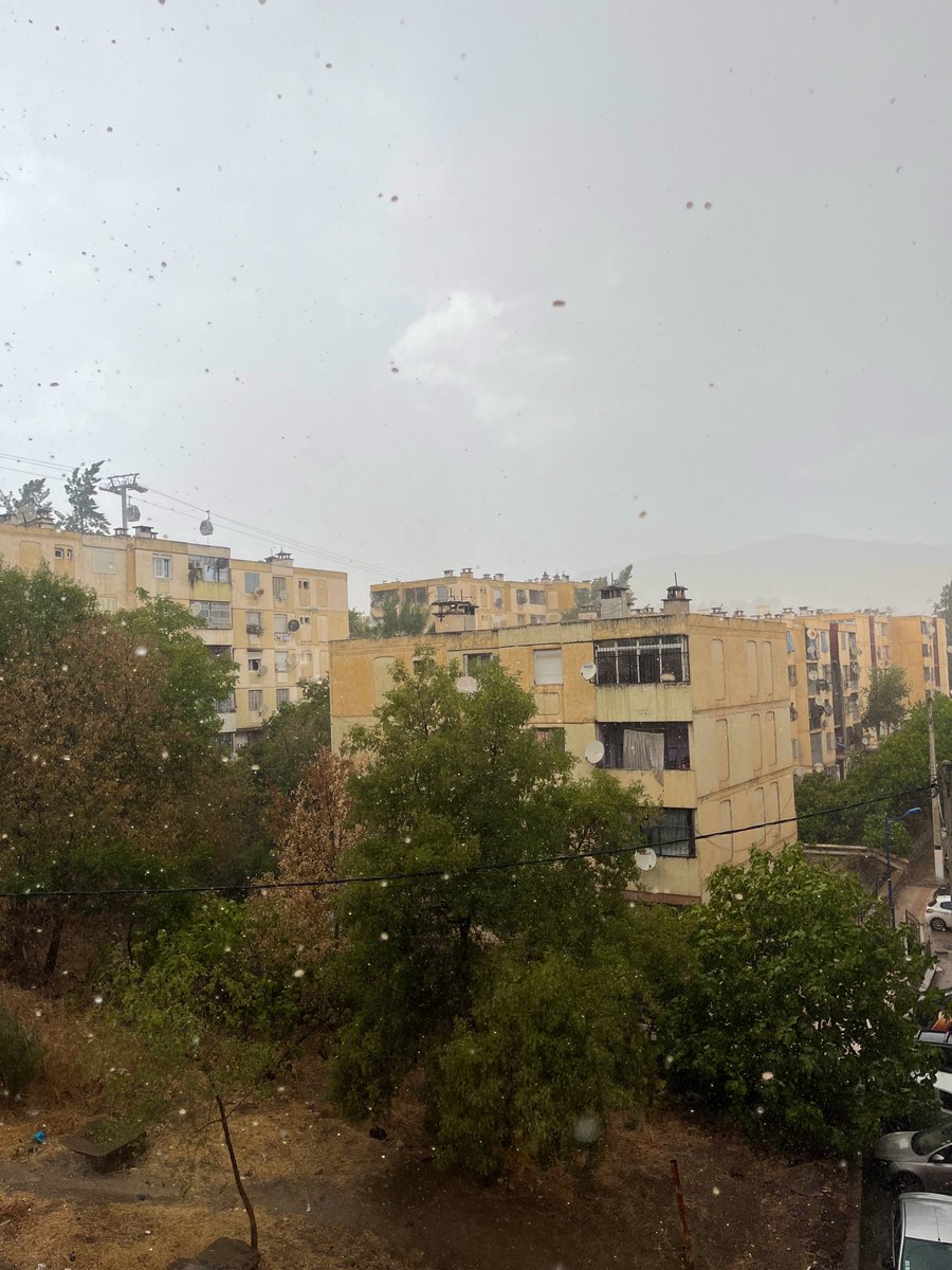 نَجمٰ⭐️🇩🇿 tweet media