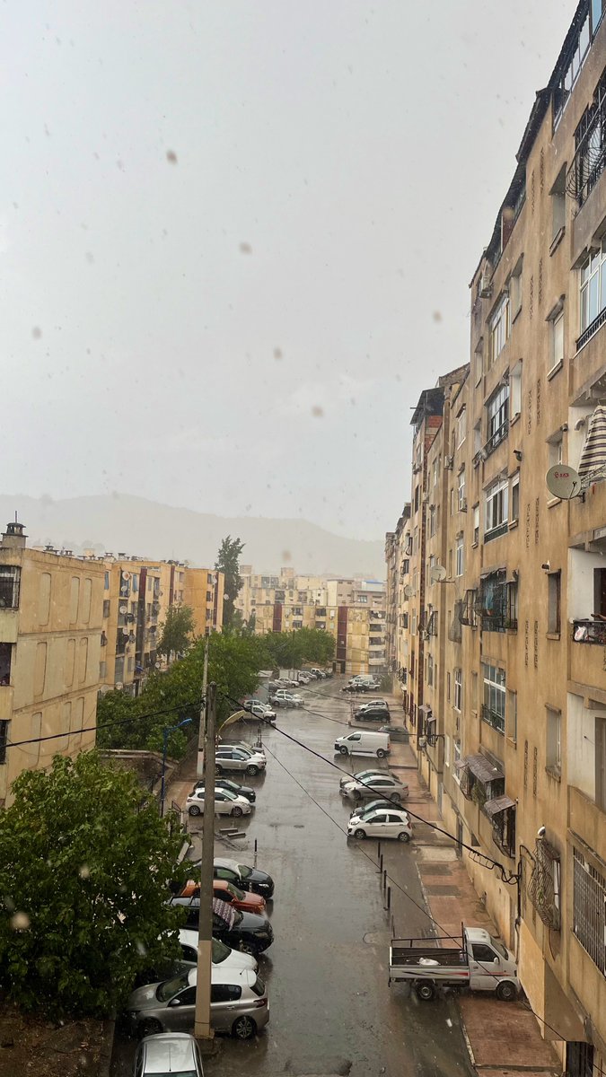 نَجمٰ⭐️🇩🇿 tweet media