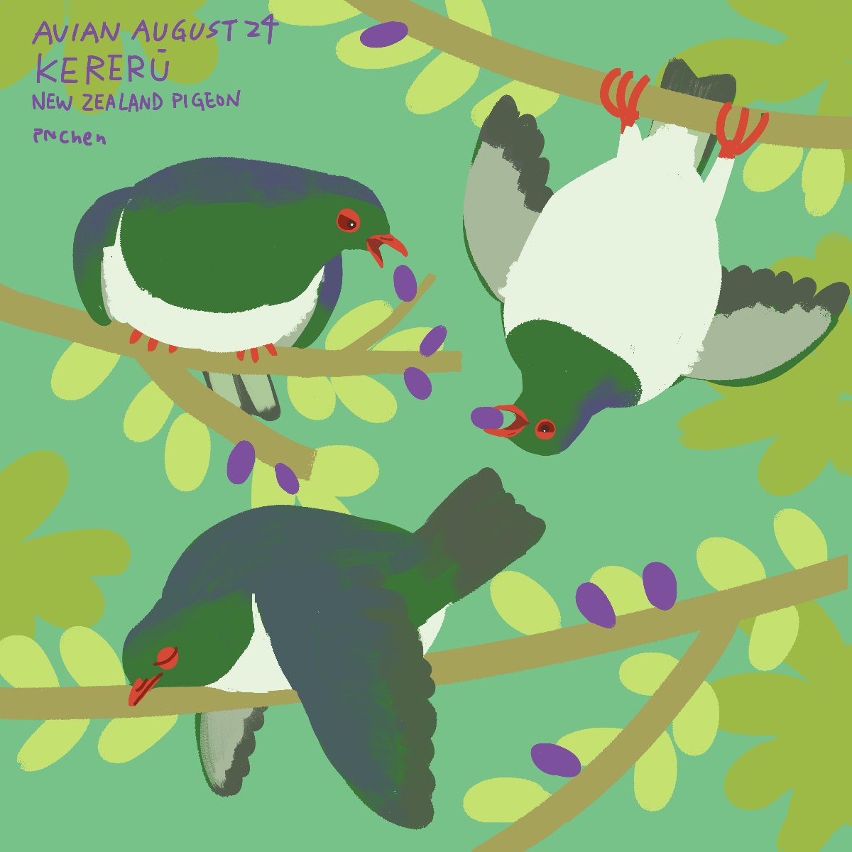 chenpn's tweet image. #AvianAugust2024 #AvianAugust
24 Kererū
I would like to go to New Zealand to see these drunk, chunky birds 
超想去紐西蘭看本鳥