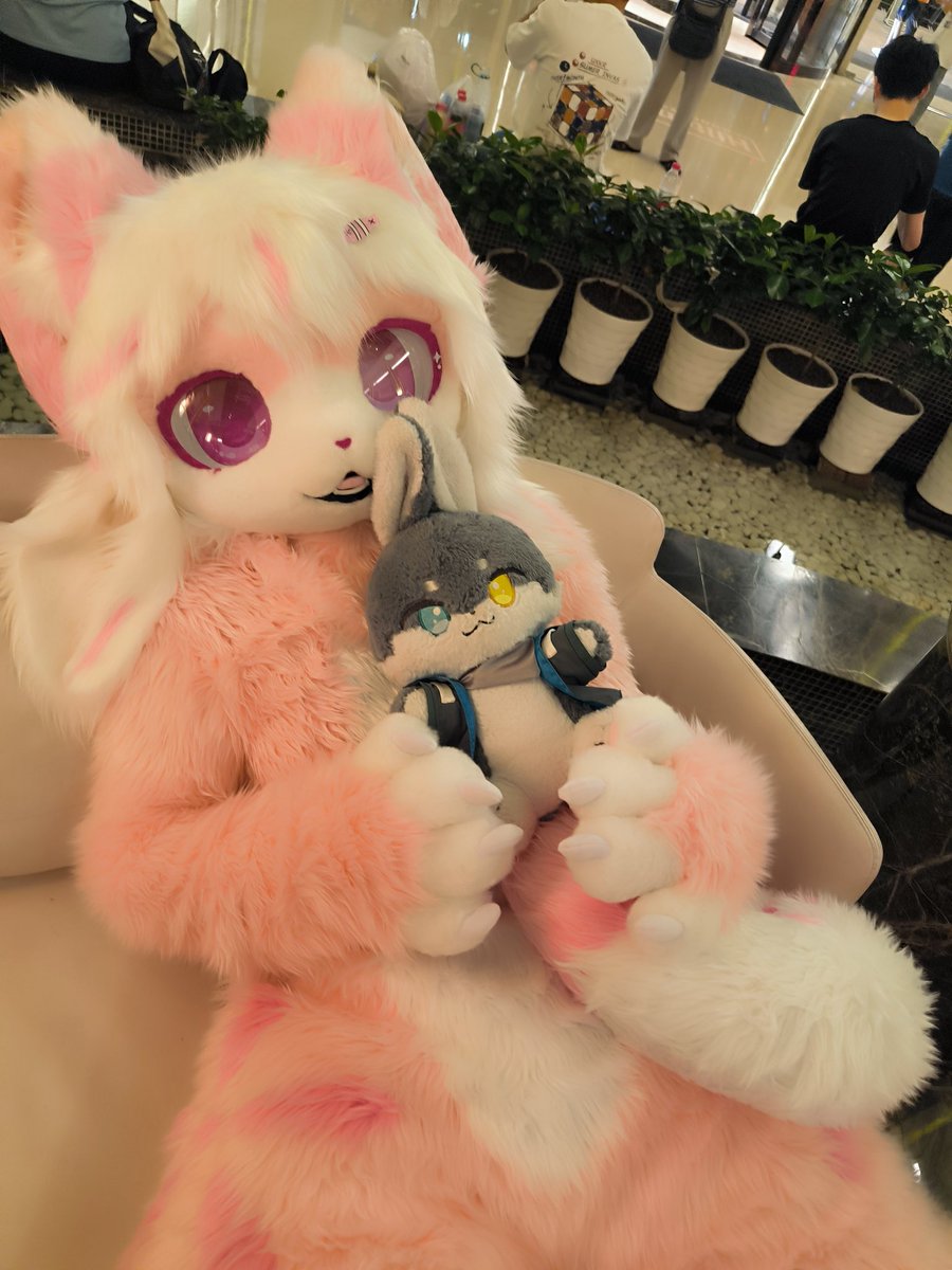 毛六！这是累死在昨天的毛五！今天复活发的！