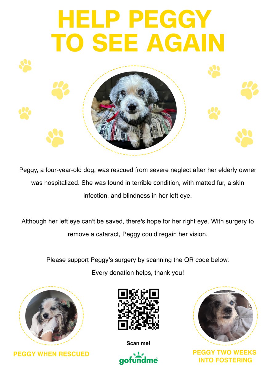 I’m fostering a dog who is blind and needs surgery to restore her vision. The shelter cannot cover the costs, so I’ve set up a GoFundMe page. I would be incredibly grateful if you could donate and help spread the word 🙏 #doglover #RescueDog #DogsOfTwitter gofund.me/5e8e35aa