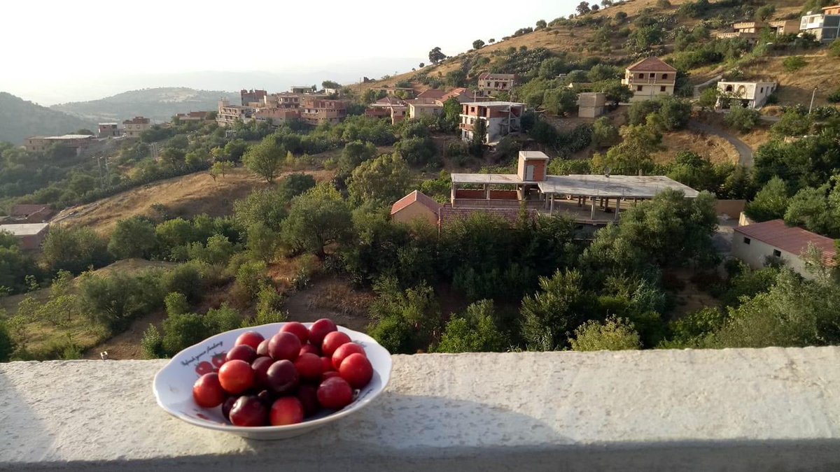 نَجمٰ⭐️🇩🇿 tweet media