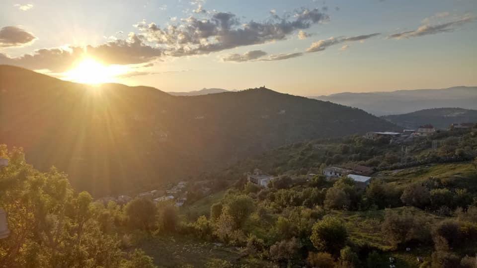 نَجمٰ⭐️🇩🇿 tweet media