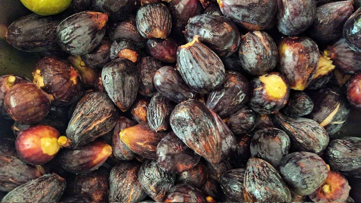 MonEivissa's tweet image. Hi ha res millor?
#figues