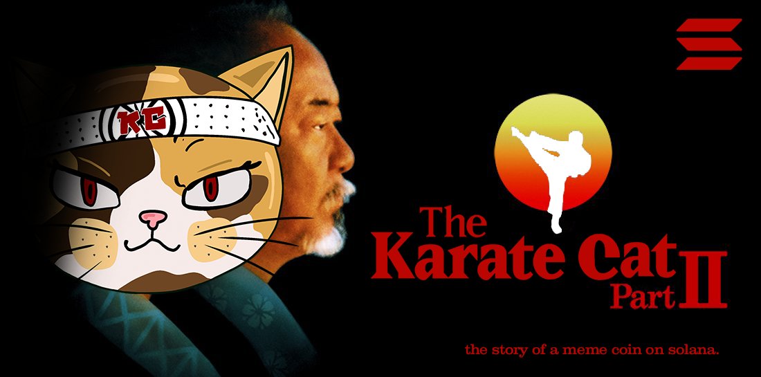 karate cat tweet media