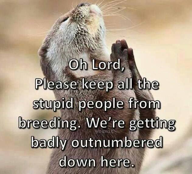 Dave Hill 🇺🇸🏒🥇 tweet media