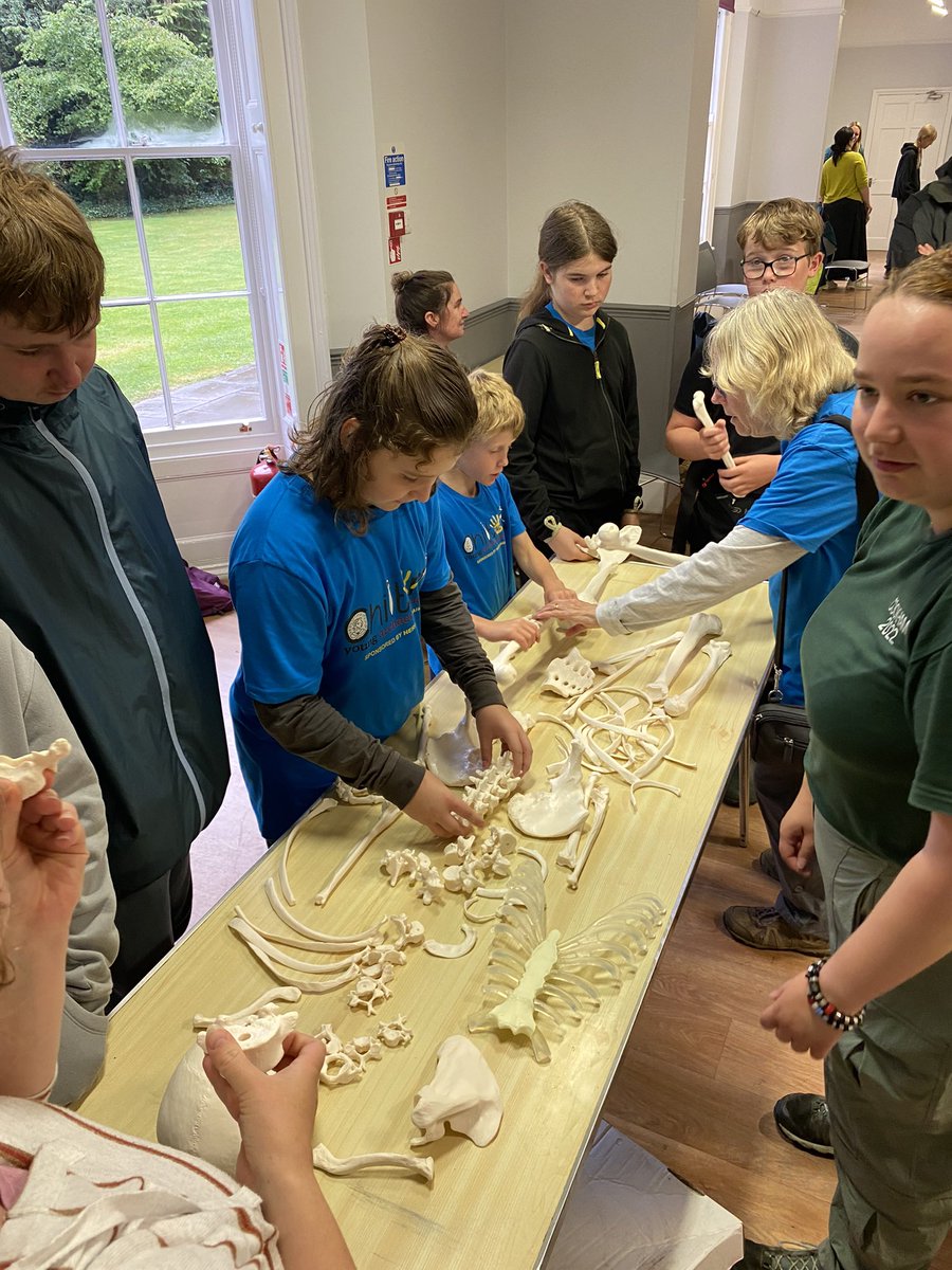 RothwellNigel's tweet photo. Another summer outing for #chilternYAC @YAC_CBA @HeritageDaily. Our thanks to #uorarchaeology staff, students (esp. Emma, Mikaela &amp; friends 😇) &amp; #friendsofcookhamabbey for hosting us at #cookhamdig24. Rain stopped #anglosaxonarch digging, but great hands-on activities ⚒️🏺🦴👍 https://t.co/g4GiZ9WWGy