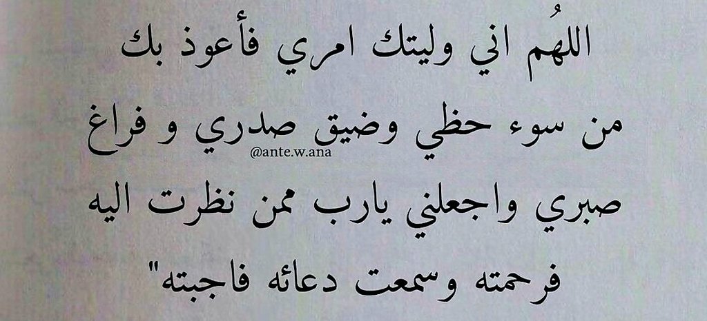 Nada Shoura (@nadashoura28) on Twitter photo 