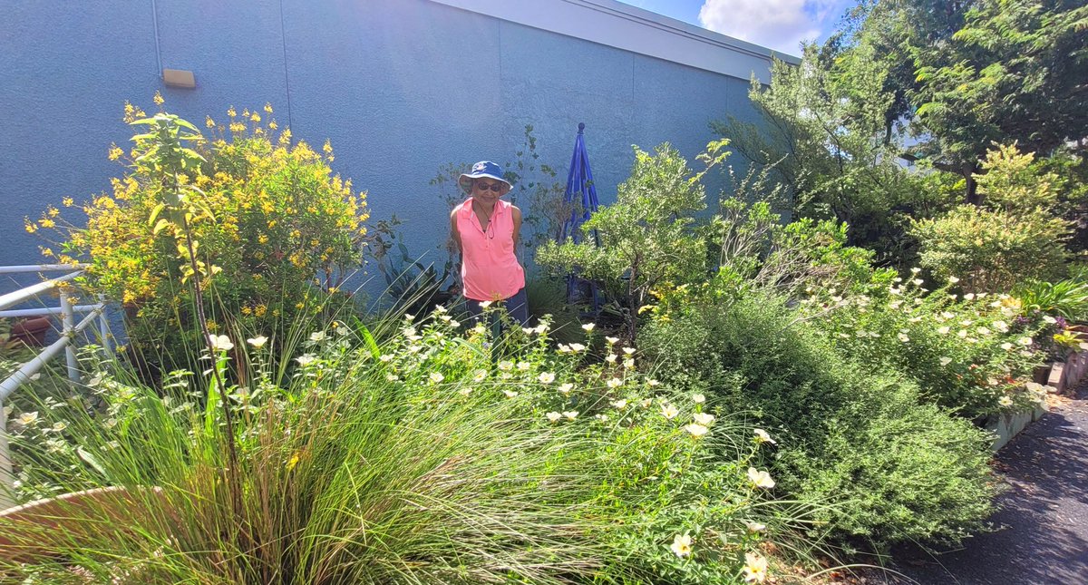 HortUrban's tweet photo. Join the Great Southeast Pollinator Census on August 23rd and 24th!Get your counting sheets and insect identification guides at https://t.co/02d7KJbUbq. Every count matters—thank you for helping us protect our pollinators! 🐝💚 #PollinatorCensus #CitizenScience https://t.co/jinU2Nofes