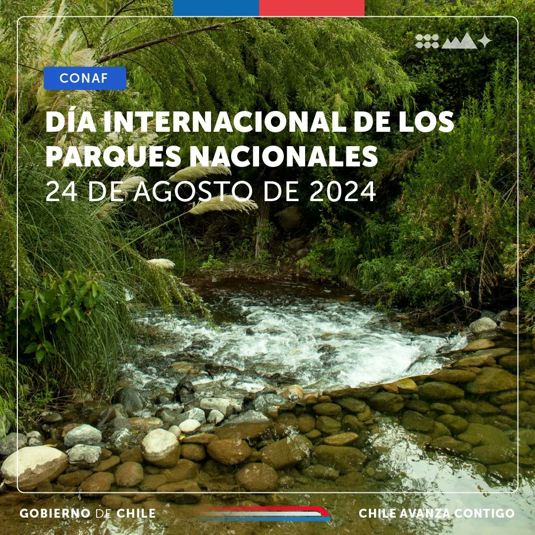 Cada 24 de agosto se celebra el Día Internacional de los Parques Nacionales, con el objetivo de concientizar a la sociedad sobre la importancia de la conservación del patrimonio natural y cultural en las áreas silvestres protegidas.