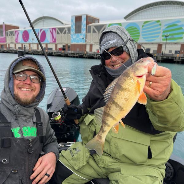 AcmeTackle's tweet photo. Now’s your chance with 20% off everything at Acme Tackle including the popular Kastmaster!

Shop Kalin's here: https://t.co/N1xythCXms

#fishing #fishinglures #fishingtackle #kalins #reefrunner #beaverdamtackle #unclejoshbaitcompany #fallfishing #fishingsale #fishingtaddicts https://t.co/TLUzkJ1BF5