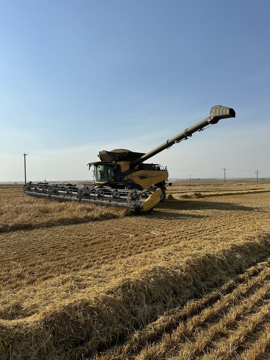 Witdouck Farms tweet media