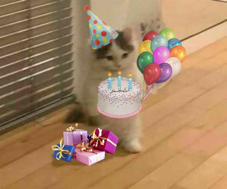 Carla_Dainar's tweet photo. @delicatelegends Happy bday Queen!!!! https://t.co/aNpfBVuhVm