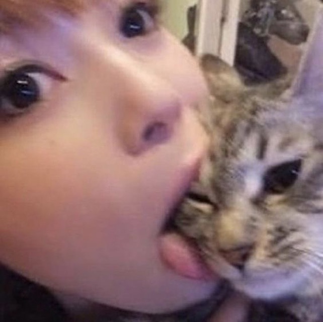 PunchingCat's tweet photo. https://t.co/uVHZMFHVns