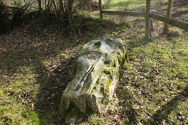 MonumentumFr's tweet photo. Polissoir dit La Pierre Saint-Guillaume à #Montenay (#Mayenne) Construction Néolithique. Polissoir dit La Pierre Saint-Guillaume (cad. B 3) : classement par liste de 1889.
Suite 👉 https://t.co/OdYtc5waXs
#Patrimoine #MonumentHistorique https://t.co/LwJJxBJNq1