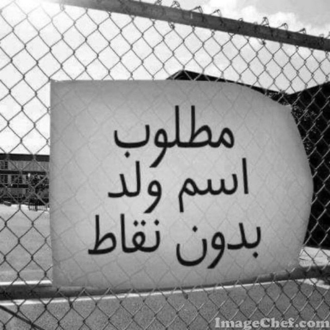 ًً tweet media