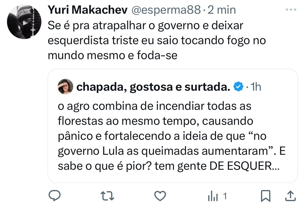 gostosa, chapada & consciente. tweet media
