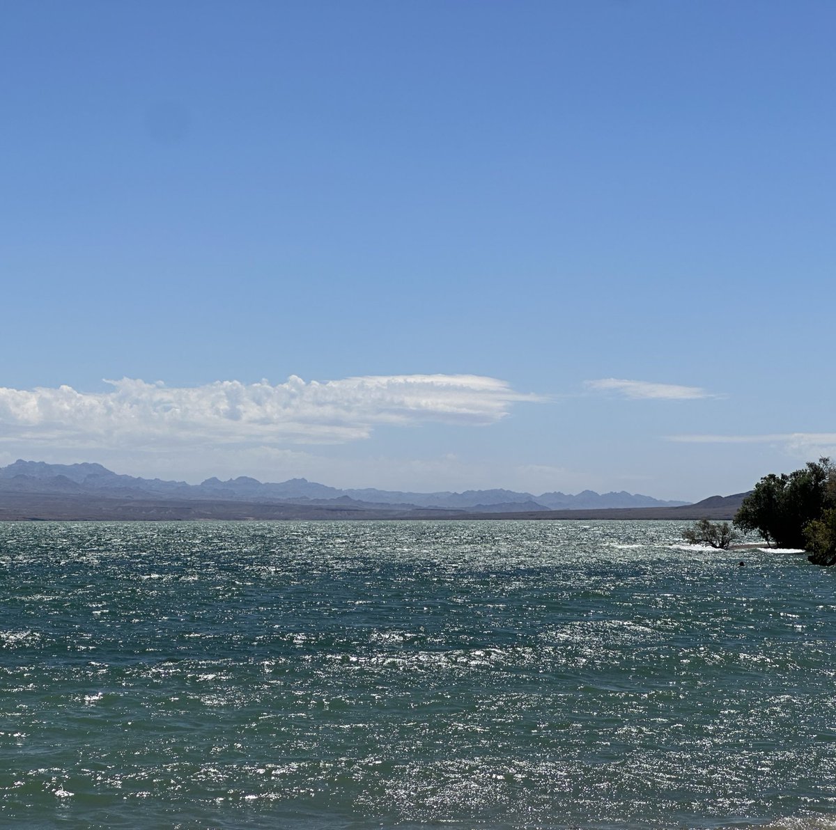 Joe Speed tweet media